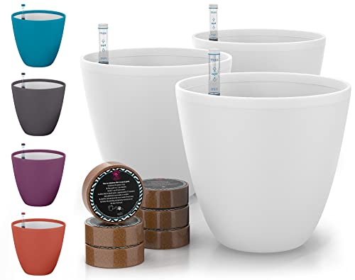 Self Watering Pots for Indoor Plants 3 Pack - Flower Pot with Water Level Indicator for Plants, Grow Tracking Tool - Self Watering Planter Plant Pot - Coco Coir - White
