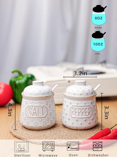 GDCZ 10 Oz Ceramic Salt and Pepper Bowls Set with Lid and Spoons (White) | Convenient Set of 2 for Kitchen, Includes Lids & Matching Spoons, 10oz Capacity, Embossed Texture - color: White