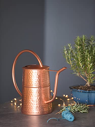 Gardener’s Supply Company Copper Plated Indoor Watering Can | 3 Quart Water Capacity, Curved Spout for Houseplants, Succulents, Seeds, and Herbs