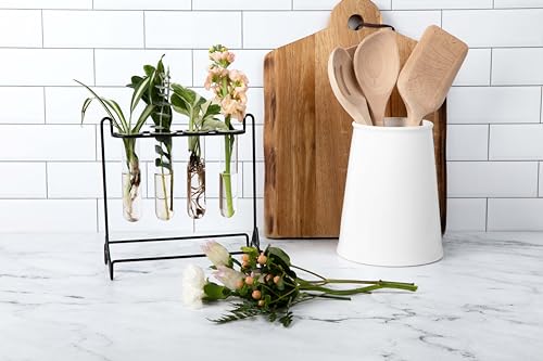Grace River Propagation Station, Iron & Glass Planter, 8x8x8 inches, 4 Test Tubes, Indoor & Outdoor - color: Black