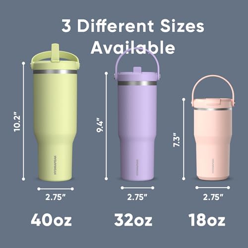 Hydrapeak Nomad 32oz Stainless Steel Insulated Travel Tumbler with Handle & Straw Lid, Leakproof, Cupholder Friendly, Back to School, College Dorm, & Everyday Hydration, Cold 24 Hours (Modern Blue) - color: Modern Blue