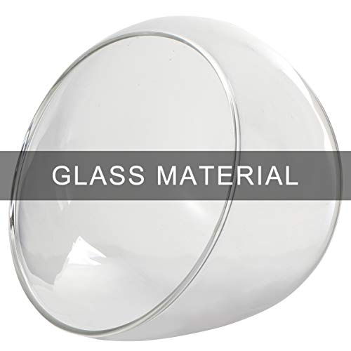 Cabilock Clear Slant Cut Bubble Bowl Glass Vase Bowl Round Globe Planter Terrarium Orb Candy Dish Fruit Jar Floral Container for Home Office Decor
