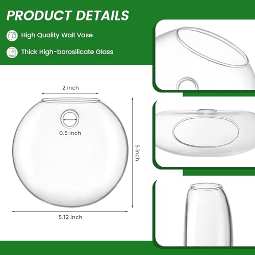 DomeStar Set of 6 Wall Vases, Wall Mounted Propagation Station | Hanging Glass Vases, Terrarium Station for Hydroponics, Plants Home Office Decor (5 Inch) - size: 6pcs