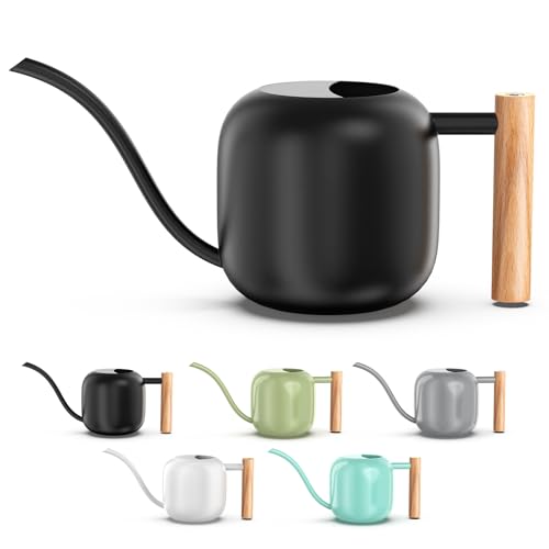 1.2L/41oz Metal Metal Watering Can with Long Spout, Black | Metal Stainless Steel Watering Can for Indoor Plants, House Bonsai, Succulents, and Garden Flowers, Decorative Watering Cans - color: Black