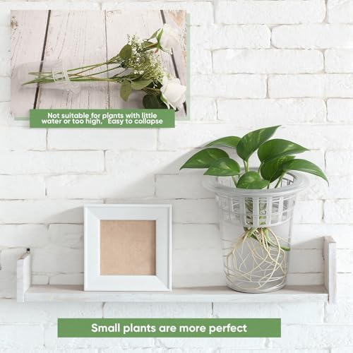 70 Pcs Plastic Plant Propagation Vase for Indoor Decor, 4.25'' | Clear Plastic Vase with Hydroponic Basket, Pet Material, Root Support Design, Easy Water Changes, Home Office Desktop Display - size: 4.25''