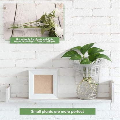 70 Pcs Plastic Plant Propagation Vase for Indoor Decor, 4.25'' | Clear Plastic Vase with Hydroponic Basket, Pet Material, Root Support Design, Easy Water Changes, Home Office Desktop Display - size: 4.25''