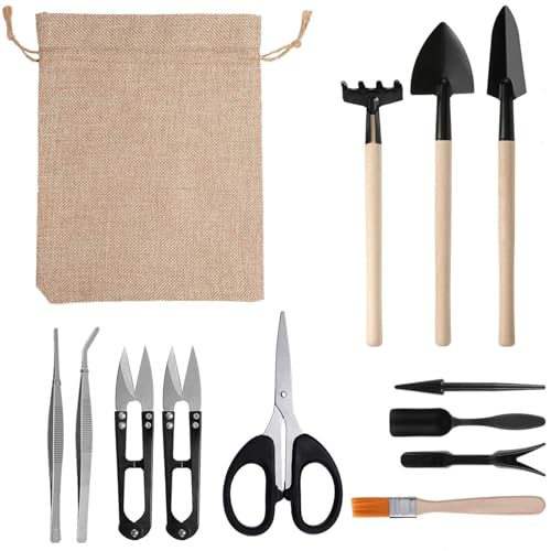 13-Piece Succulent Tool Set - Mini Gardening Kit with Stainless Steel Tweezers, Scissors, Shovel, Rake & Brush for Bonsai, Cactus, and Indoor Plant Care