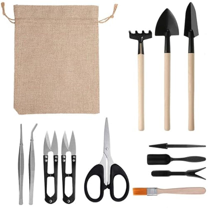 13-Piece Succulent Tool Set - Mini Gardening Kit with Stainless Steel Tweezers, Scissors, Shovel, Rake & Brush for Bonsai, Cactus, and Indoor Plant Care