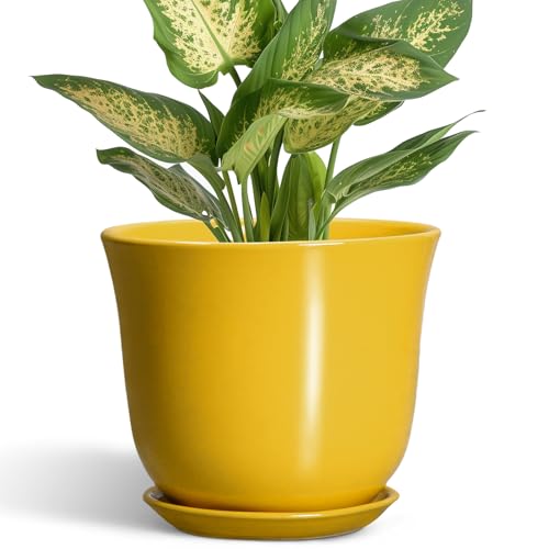 Ceramic Plant Pots - 5.6 Inch Planter with Drainage Hole and Saucer, Round Small Plant Pot for Indoor Outdoor, Modern Flower Succulent Orchid Pot, Desk Decor, Plant Lover Gifts, Yellow - color: Light Yellow, size: 6 Inch