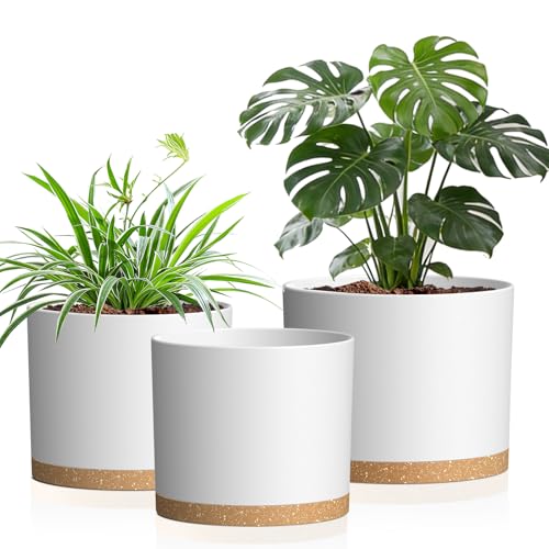 10/9/8 Inch Plant Pots 3 Pack, with Drainage Hole & Saucers | Cylindrical plastic planters with drainage holes & saucers. Modern matte finish, lightweight & durable for indoor/outdoor use - color: Matte White&brown