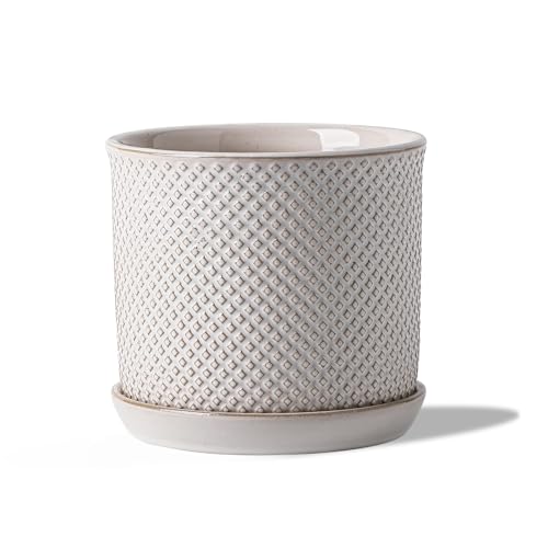 5.8 Inch Ceramic Planter with Drainage Hole & Bonded Saucer | Indoor/Outdoor Plant Pot with Tray - Flowerpot for Home/Office - Beaded Embosse, Cream White - color: Beaded Embossed, size: 6 inch