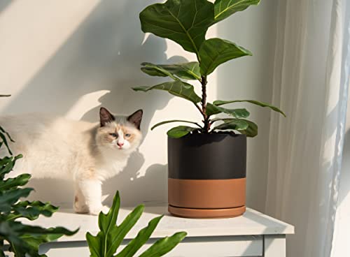 D'vine Dev 8 Inch Ceramic Planter Pot, Black/Tan, 94-O-D-7 | Modern Cylinder Design, Drainage Hole & Saucer Included, Stable Structure, Elegant Home Accent - color: Black/Speckled Tan, size: Medium