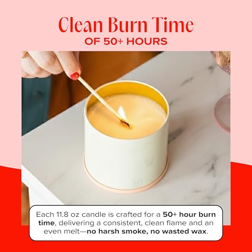 Anywhere with You Pet-Friendly Scented Candle – Grapefruit & Vanilla Fragrance - Coconut Soy Wax Candle with Wooden Wick, Approx. 50-Hour Burn Time, Made in USA, 11.8 oz - color: Anywhere with You