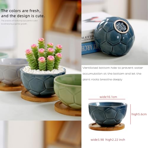 YYW Ceramic Succulent Planter, 4 Pack Cute Garden Pots with Drainage and Attached Saucer - color: Light Ceramics