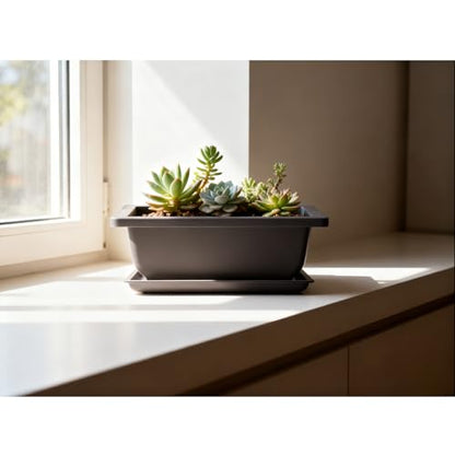 15 PCS 8.8 Inch Bonsai Training Pots, Bonsai Tree Growing Pots with 15 Drainage Trays, Plastic Bonsai Planter for Garden, Yard, Office, Porch, Balcony, Home Decoration - size: 8.8 Inch