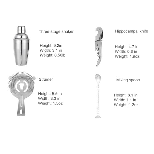 10-Piece Stainless Steel Cocktail Shaker Set with Stand – Bartender Kit w/Martini Shaker, Jigger, Strainer, Ice Tools & Decanter for Home Bar, Party & Gift
