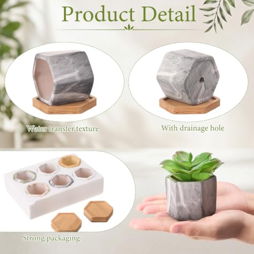 Marbling Ceramic Flower Pot Succulent Small Plant Cactus Herbs Planter Ceramic Pot with Drainage Hole Matte Container(6 Pcs,Hexagon Style) - style: Hexagon Style