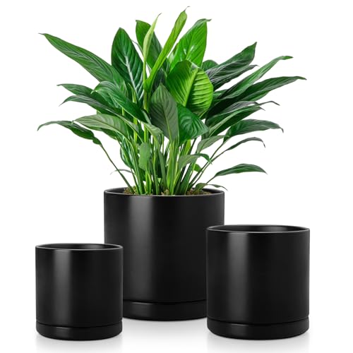 vancasso Ceramic Plant Pots, 3 Piece Planters for Indoor Plants, 4.25+5.25+6.25 Inch Flower Pots with Drainage, Plant Pots Indoor for Succulent, Pothos, Snake Plant and Money Tree, Etc (Black) - color: Black