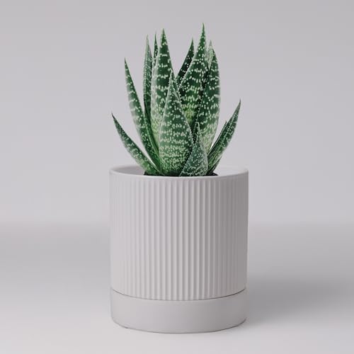 HERDUK Small Plant Pots, 4 Inch Pots for Indoor Plants, Modern Minimalist Ceramic Plant Pots with Drainage Hole & Saucer, White Set of 2 - color: Matte White, size: 4 Inch