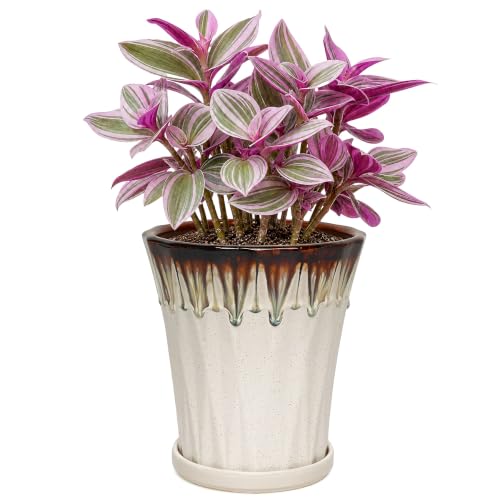 6.6 Inch Ceramic Planters with Drainage Hole and Saucer,Indoor Outdoor Large Flower Pots, Garden Pot for Plant Lovers (Drip White) - color: Drip White, size: 6.6 Inch