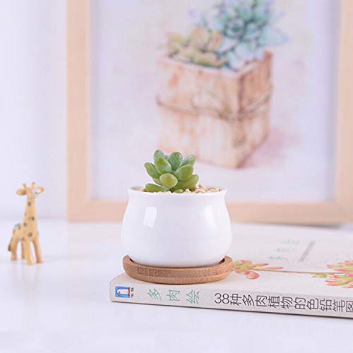Succluent Pots ，Small Flower Pots Planter Pots with Drinage,Ceramic Flowers Pots with Bamboo Tray for Cactus(12 Pack | Ceramic Flowers Pots with Bamboo Tray for Cactus,Planter Pots for Home,Kitchen