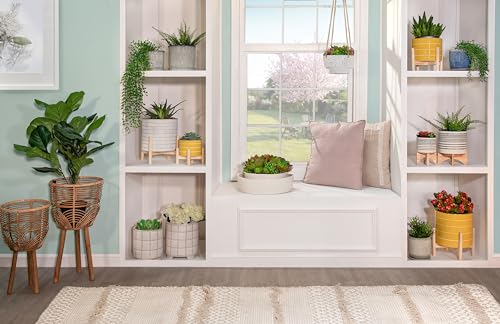 Sagebrook Home 8" Ceramic Striped Planter with Pine Stand - color: Striped Mustard Yellow, size: 8 Inch