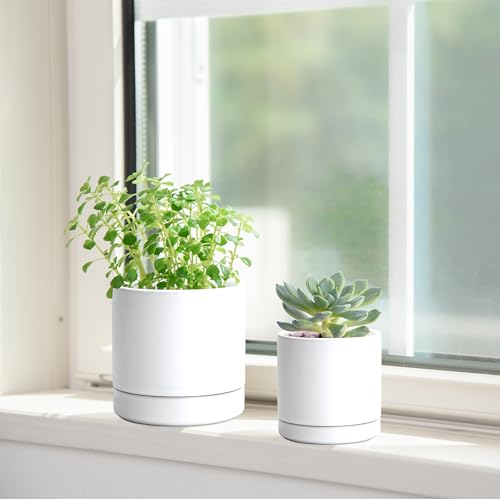 D'vine Dev 2-Pack Ceramic Pots & Saucers, White, 3.5/4.7 in, 94-G-XS-1 | Glazed Ceramic, Drainage Hole, Perfect-Fit Saucer, Sleek Cylinder Shape, High Temperature Fired, Elegant Home Accent - color: White, size: X-Small