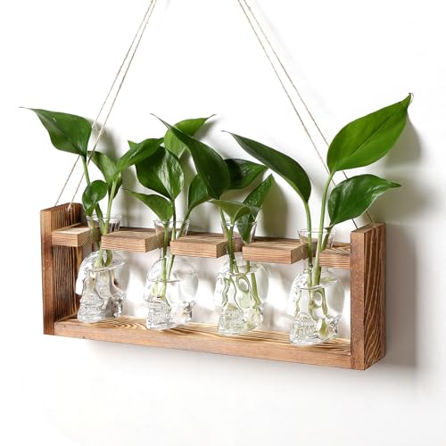 Plant Propagation Stations Halloween Skull Plant Terrarium Kit | Glass Vases Gift for Father Air Planter Home Office Decor - color: Transparent