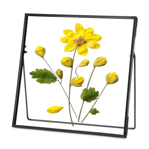 REDHUGO Double Glass Frame for Pressed Flowers, Square, Black, 8x8 Inches | Handmade, Tabletop Photo Frame for Floating Picture and Flower Press, Simple, Metal Geometric - color: Black, size: 8L" x 8W"