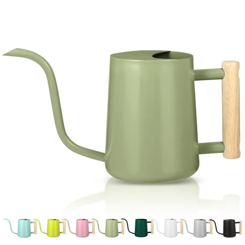 Watering Can Indoor Plants, 35oz Small Indoor Stainless Steel Metal Watering Can Modern Decorative Watering Pot with Long Spout for Indoor House Plant Bonsai Garden Flowers (Sage Green) - color: Sage Green