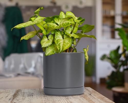 D'vine Dev 3-Pack Ceramic Pots with Saucers, 4/6/8 in, Grey, 94-T-M-3 | Glazed Ceramic, Drainage Hole, Perfect-Fit Saucer, Sleek Cylinder Shape, High Temperature Fired, Elegant Home Accent - color: Gray, size: 4"+6"+8"