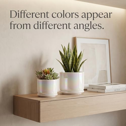 EFISPSS Plant Pots, 4+5+6 Inch Pots for Indoor Plants,Ceramic Planter Pot with Drainage Hole,Flower Pots for Succulent Cactus,Set of 3 - Rainbow Pearl Glaze - color: Rainbow Pearl Glaze