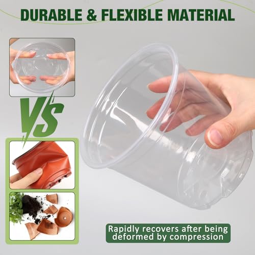 8 Inch Clear Nursery Pots with Drainage Holes and Saucers, 6 Pack Clear Pots for Plants Variety Pack, Seedling Pots for Succulents, Herbs, Flowers, Vegetables - size: 8 inch