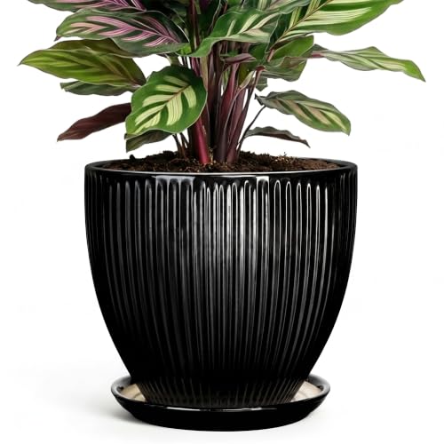 6 Inch Ceramic Planter, Indoor Plant Pots for Small Plants, Decorative Flower Pots with Drainage Hole and Saucer, Round Pot for Plants, Office Bathroom Decor, Gifts for Plant Lovers, Black - size: 6 Inch, style: Black