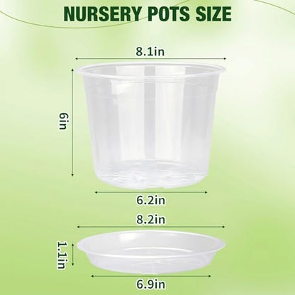8 Inch Clear Nursery Pots with Drainage Holes and Saucers, 6 Pack Clear Pots for Plants Variety Pack, Seedling Pots for Succulents, Herbs, Flowers, Vegetables - size: 8 inch