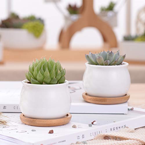 Succluent Pots ，Small Flower Pots Planter Pots with Drinage,Ceramic Flowers Pots with Bamboo Tray for Cactus(12 Pack | Ceramic Flowers Pots with Bamboo Tray for Cactus,Planter Pots for Home,Kitchen