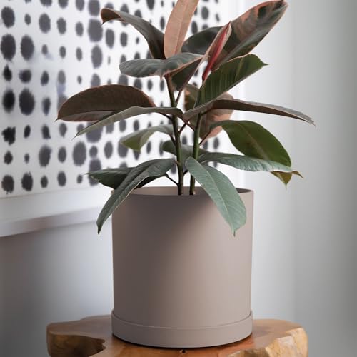 Bloem Mathers Planter w/Saucer Tray 10" Pebble Stone Beige - color: Pebble Stone, size: 10"