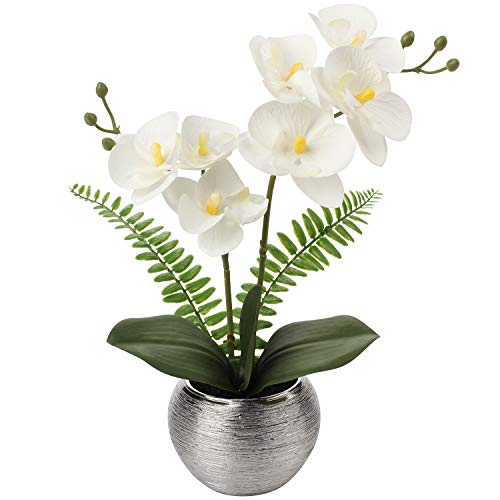 Briful 13" Small Artificial Orchid Flowers in Silver Ceramic Pot, White Faux Phalaenopsis Silk Orchid Arrangement for Bathroom Vanity Office Desk Shelf Nightstand Modern Home Decor - color: White Orchids Silver Vase