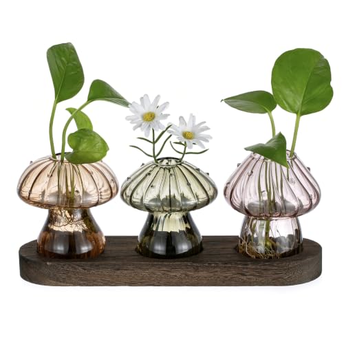 Glasseam Mushroom Plant Propagation Station: 3 Pcs Glass Terrarium Jar | Handmade Small Hydroponic Planter with Wood Stand, Propagate Pothos Cutting Flowers, Home Fall Decor, Plant Lover Gifts - color: Fall-colored, size: 3Pcs