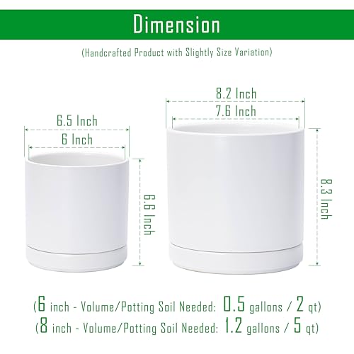 D'vine Dev 2-Pack Ceramic Pots with Saucers, 6/8 in, White, 94-G-M-1 | Glazed Ceramic, Drainage Hole, Perfect-Fit Saucer, Sleek Cylinder Shape, High Temperature Fired, Elegant Home Accent - color: White, size: Medium