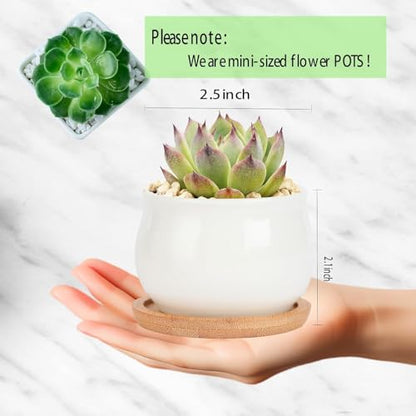 SHECIPIN Succulent Plant Pot, White Mini 2.6 inch Ceramic Flower Planter Pot with Bamboo Tray, Pack of 8 - Plants Not Included - color: White