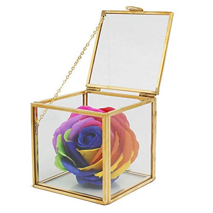 Glass Planter, 3.9in Geometric Terrarium with Gold Copper Frame