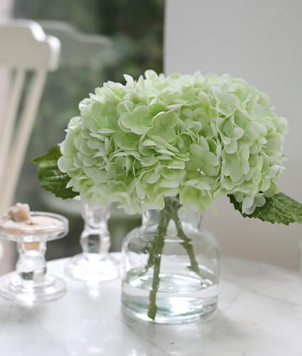 CHASMILE Hydrangea Artificial Flowers in Vase, Dining Table Centerpiece | Real Touch, Vase & Faux Water Included, Ready to Display, Elegant Decor for Living Room, Bedroom, Office - color: Light Green