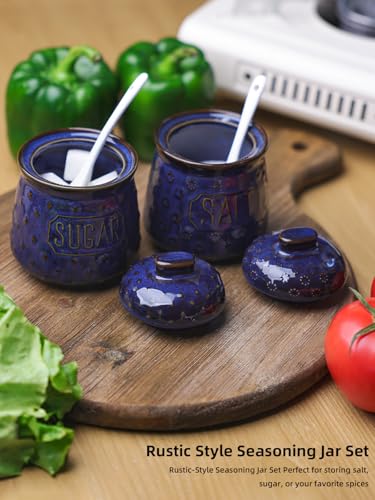 GDCZ 10 Oz Ceramic Salt and Sugar Bowls Set with Lid and Spoons (Blue) | Convenient Set of 2 for Kitchen, Includes Lids & Matching Spoons, 10oz Capacity, Embossed Pots - color: Blue