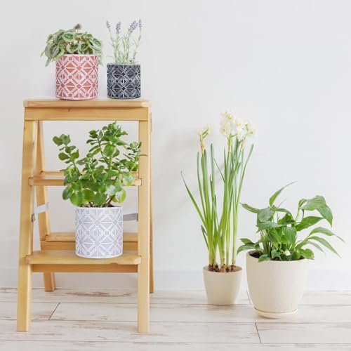 lokeisna Plant Pots, Set of Indoor Plant pots, Plastic Planter with Drainage and Saucer, Modern Distinctive Self Watering Plant Pot, Spray Spots (Indoor Plant Pots) - color: Indoor Plant Pots
