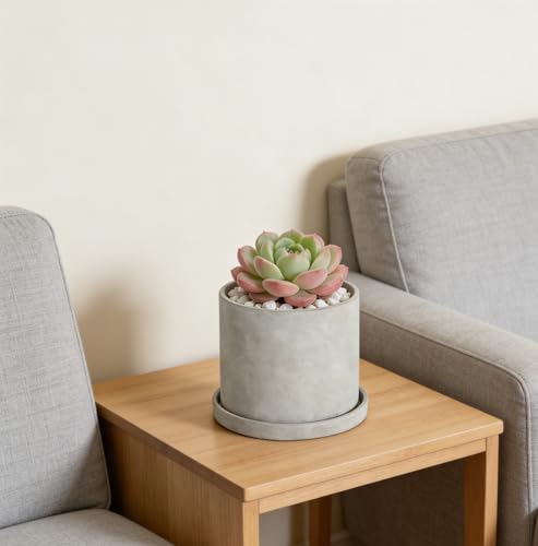 Ekirlin 6.7 Inch Indoor Plant Pot, Natural Grey Cement Standing Planters with Drain Hole & Saucer Tray, Modern Succulents Containers, Flower Pots for Home Decor, Outdoor & Garden Plants - size: 6.7 inch