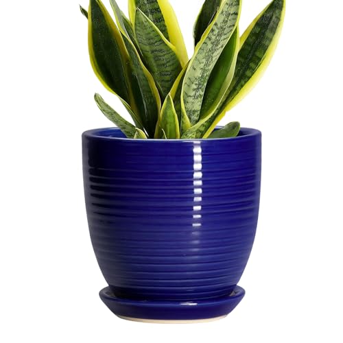 Ceramic Plant Pot - 6 Inch Pots for Plants, Round Ceramic Planters with Drainage Hole and Saucer, Decorative Flower Pots for Indoor Plants, Room Desk Decor, Housewarming Gifts, Glossy Blue - color: Glossy Blue, size: 6 Inch