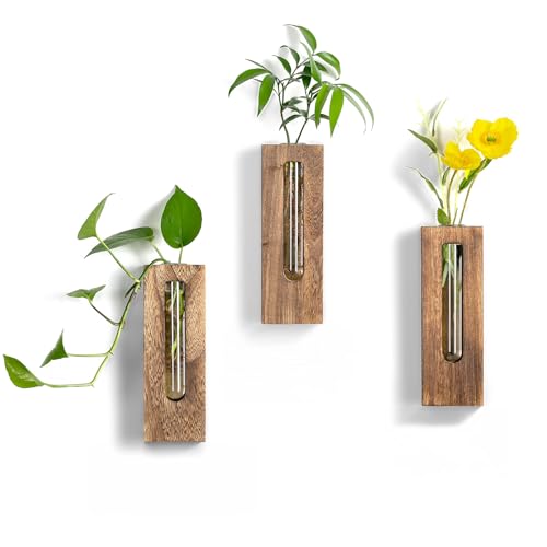 Farmhouse Wall Plant Propagation Station with Glass Tubes | Wall-Mounted Wood Vase with Borosilicate Glass Tube, for Plant Cuttings, Pothos, Herbs and Air Plants, Farmhouse Display - color: Brown
