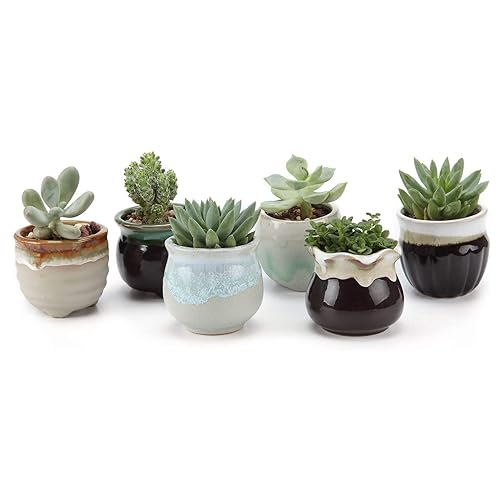 T4U Mini Succulent Ceramic Pots for Gifts, Small Planters for Decor 6 Pack | Planters with Drainage, for live cactus plants, bonsai tree starter pots, indoor windowsill decor, office desk accents - color: Flowing Glazed, size: Pack of 6