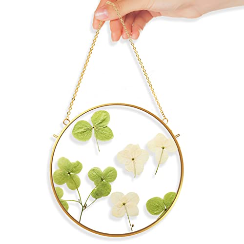 TLBTE 8x8 inch Round Brass Hanging Photo Frame, Double Side Circle Glass Frame for Pressed Flowers, Clear Circular DIY Vintage Artwork Display Picture Frame Wall Mounted - size: 8x8 inch